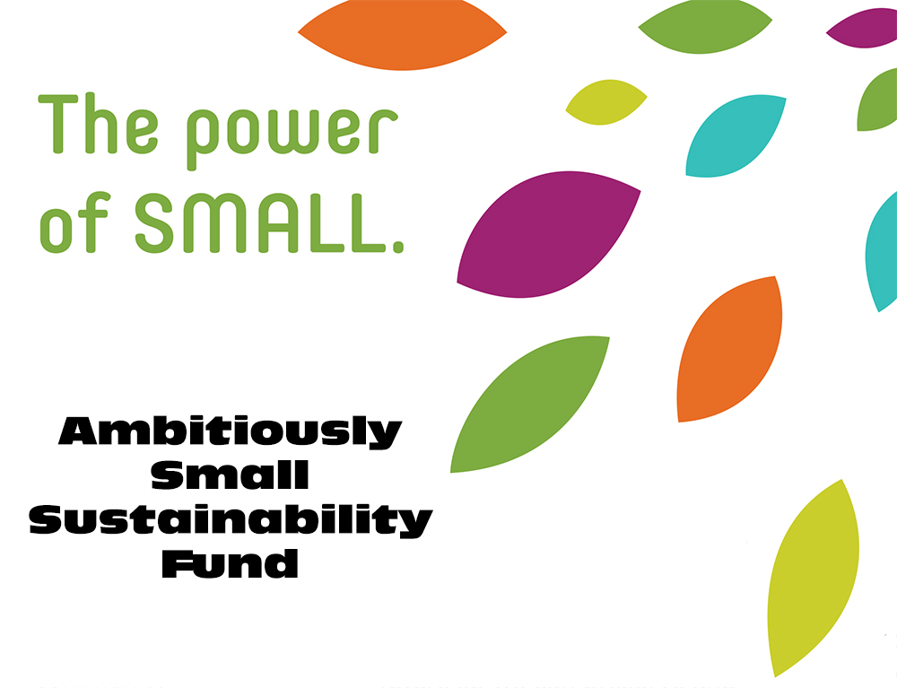 Ambitiously Small Sustainability Fund