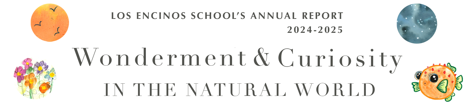 Header Graphic - Wonderment & Curiosity in the Natural World