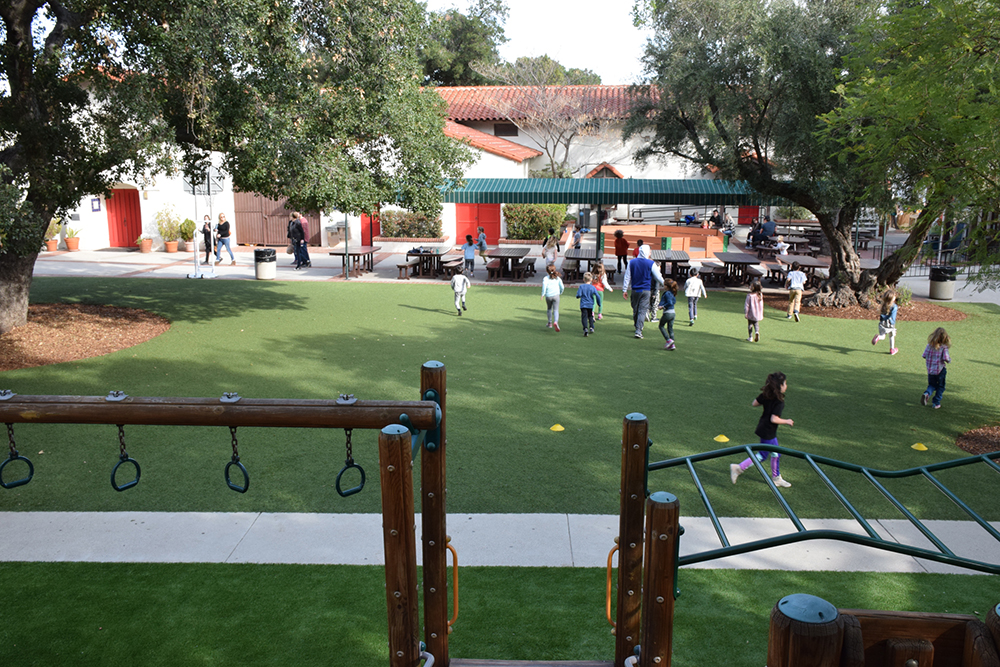 The 'yard.' The 'yard.'