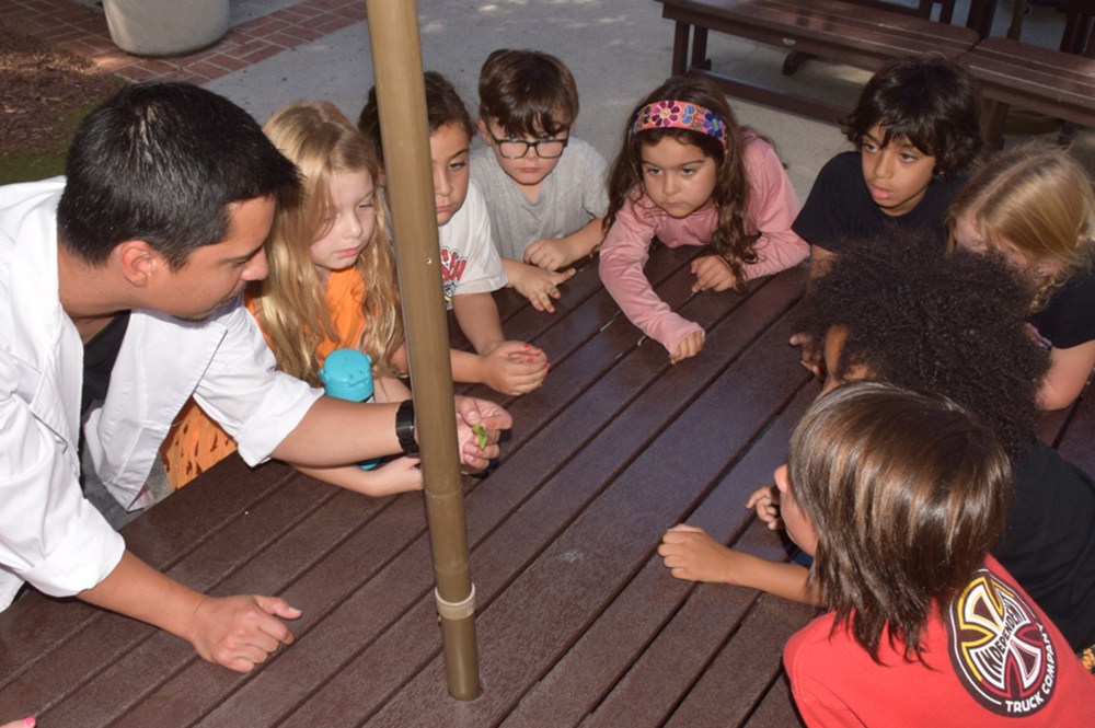 Mr. J knows science. Mr. J knows science.